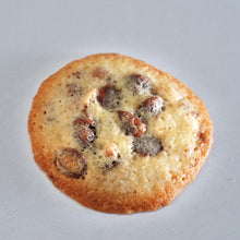 Load image into Gallery viewer, Gourmet Crispy Butter Cookie Gift Tin Chocolate Chunk and Milk Chocolate Lace Pecan 2 LB
